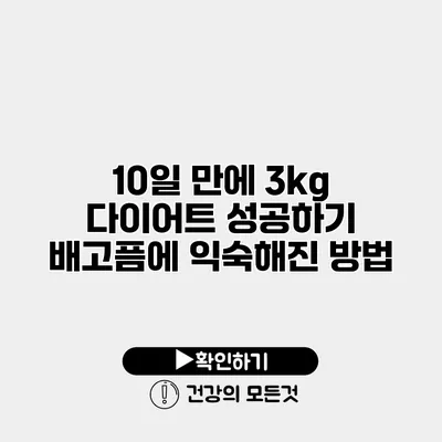 10일 만에 3kg 다이어트 성공하기 배고픔에 익숙해진 방법