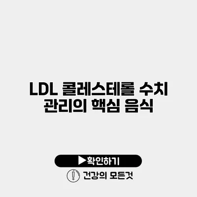 LDL 콜레스테롤 수치 관리의 핵심 음식