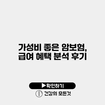가성비 좋은 암보험, 급여 혜택 분석 후기
