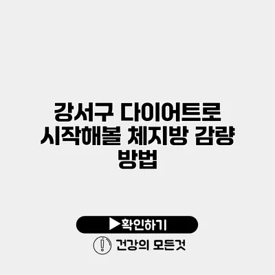 강서구 다이어트로 시작해볼 체지방 감량 방법