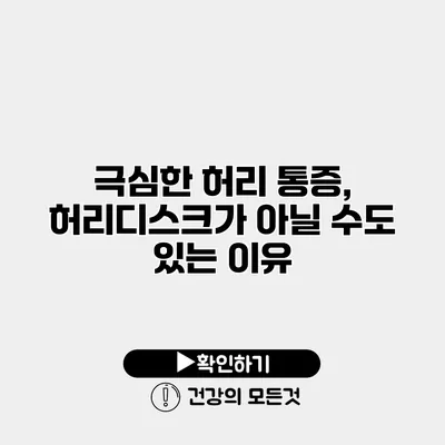 극심한 허리 통증, 허리디스크가 아닐 수도 있는 이유