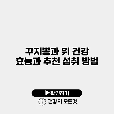 꾸지뽕과 위 건강 효능과 추천 섭취 방법