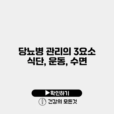 당뇨병 관리의 3요소 식단, 운동, 수면