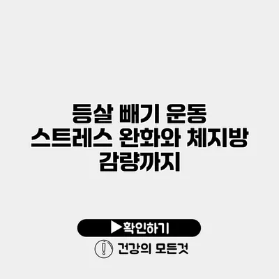 등살 빼기 운동 스트레스 완화와 체지방 감량까지