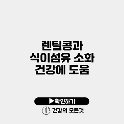 렌틸콩과 식이섬유 소화 건강에 도움