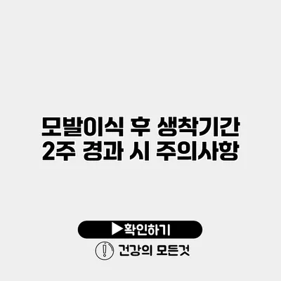 모발이식 후 생착기간 2주 경과 시 주의사항