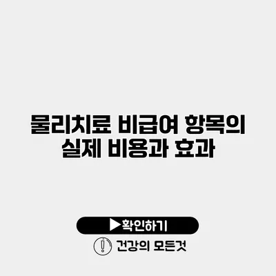 물리치료 비급여 항목의 실제 비용과 효과