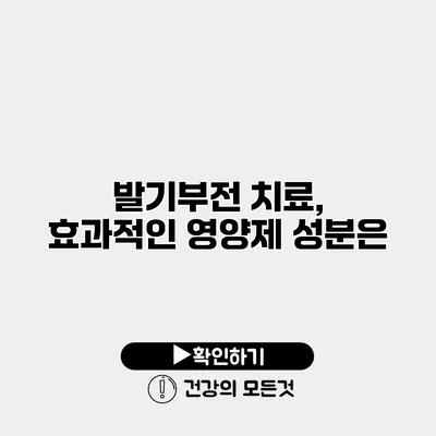 발기부전 치료, 효과적인 영양제 성분은?