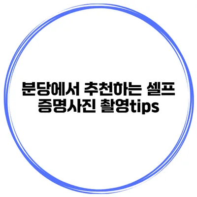 분당에서 추천하는 셀프 증명사진 촬영tips