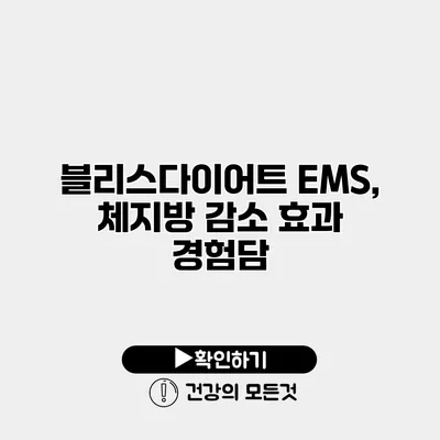 블리스다이어트 EMS, 체지방 감소 효과 경험담