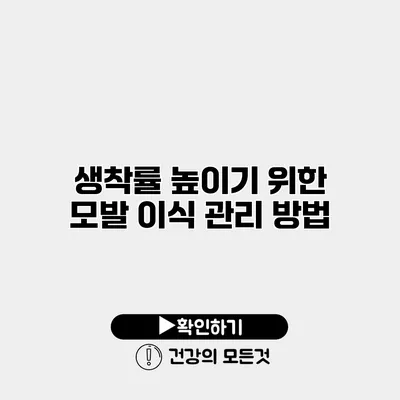 생착률 높이기 위한 모발 이식 관리 방법