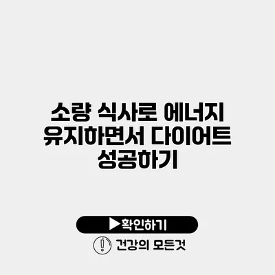 소량 식사로 에너지 유지하면서 다이어트 성공하기