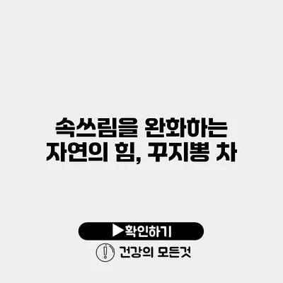 속쓰림을 완화하는 자연의 힘, 꾸지뽕 차