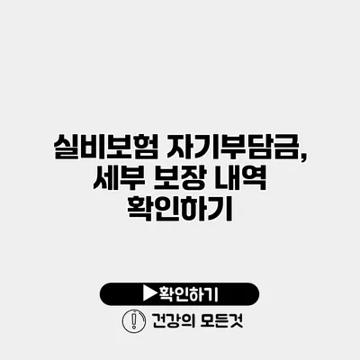 실비보험 자기부담금, 세부 보장 내역 확인하기