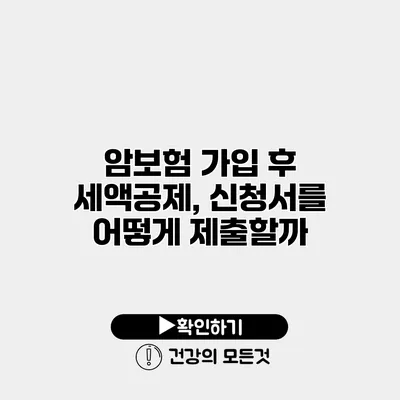 암보험 가입 후 세액공제, 신청서를 어떻게 제출할까?