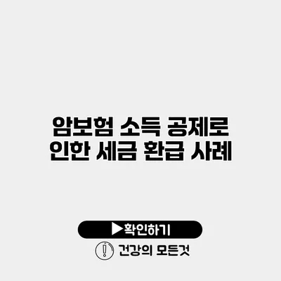 암보험 소득 공제로 인한 세금 환급 사례
