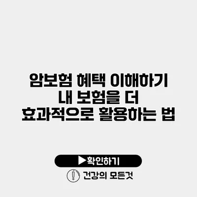 암보험 혜택 이해하기 내 보험을 더 효과적으로 활용하는 법