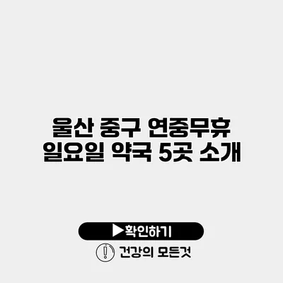 울산 중구 연중무휴 일요일 약국 5곳 소개