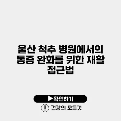 울산 척추 병원에서의 통증 완화를 위한 재활 접근법