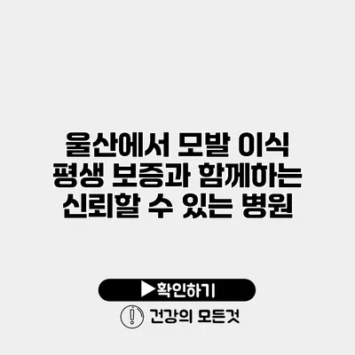 울산에서 모발 이식 평생 보증과 함께하는 신뢰할 수 있는 병원
