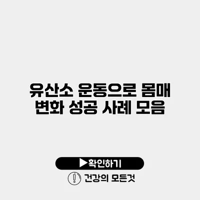 유산소 운동으로 몸매 변화 성공 사례 모음