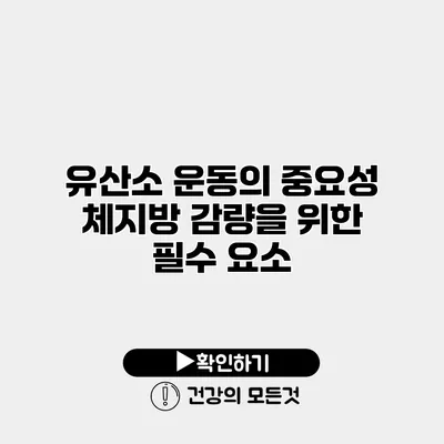 유산소 운동의 중요성 체지방 감량을 위한 필수 요소
