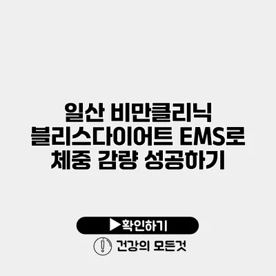 일산 비만클리닉 블리스다이어트 EMS로 체중 감량 성공하기