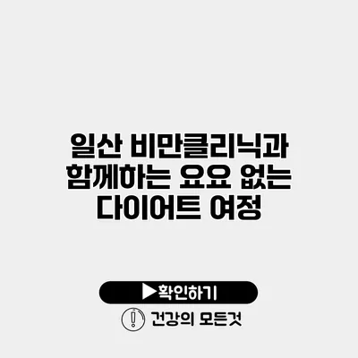 일산 비만클리닉과 함께하는 요요 없는 다이어트 여정