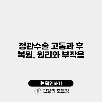 정관수술 고통과 후 복원, 원리와 부작용