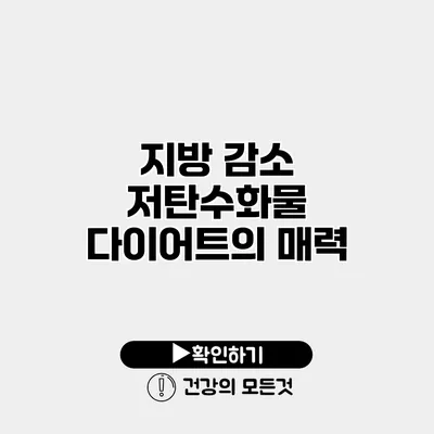 지방 감소 저탄수화물 다이어트의 매력