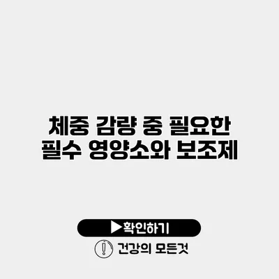 체중 감량 중 필요한 필수 영양소와 보조제
