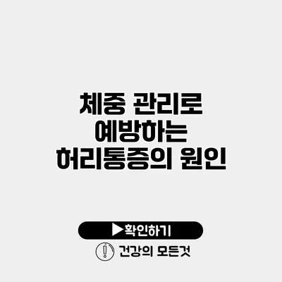 체중 관리로 예방하는 허리통증의 원인