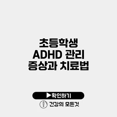 초등학생 ADHD 관리 증상과 치료법
