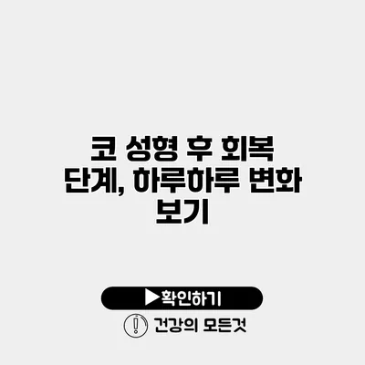 코 성형 후 회복 단계, 하루하루 변화 보기
