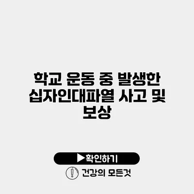 학교 운동 중 발생한 십자인대파열 사고 및 보상