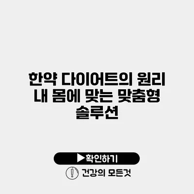 한약 다이어트의 원리 내 몸에 맞는 맞춤형 솔루션