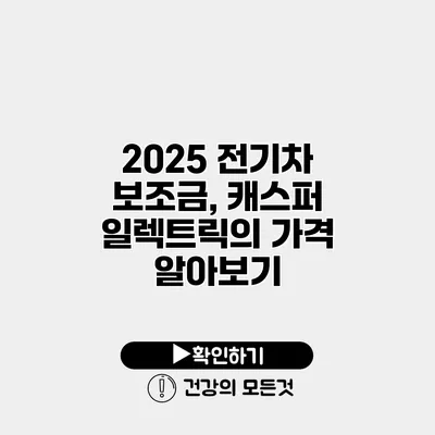 2025 전기차 보조금, 캐스퍼 일렉트릭의 가격 알아보기