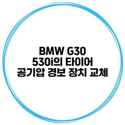 BMW G30 530i의 타이어 공기압 경보 장치 교체