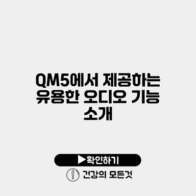 QM5에서 제공하는 유용한 오디오 기능 소개
