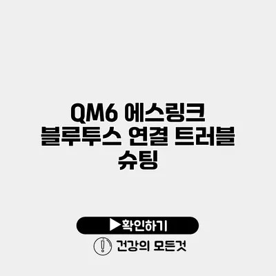 QM6 에스링크 블루투스 연결 트러블 슈팅