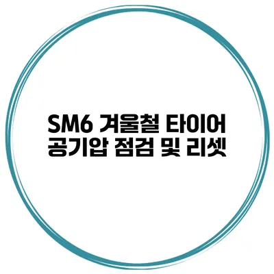 SM6 겨울철 타이어 공기압 점검 및 리셋