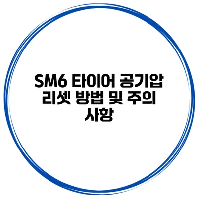 SM6 타이어 공기압 리셋 방법 및 주의 사항