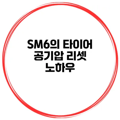 SM6의 타이어 공기압 리셋 노하우