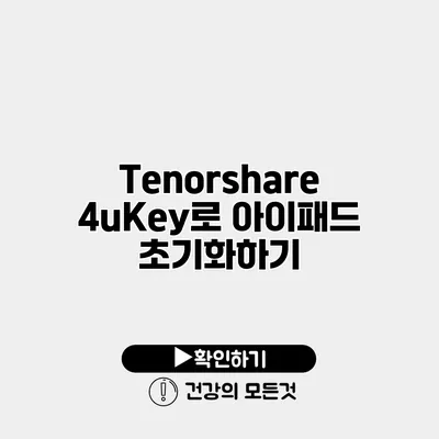 Tenorshare 4uKey로 아이패드 초기화하기