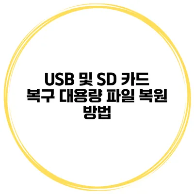 USB 및 SD 카드 복구 대용량 파일 복원 방법