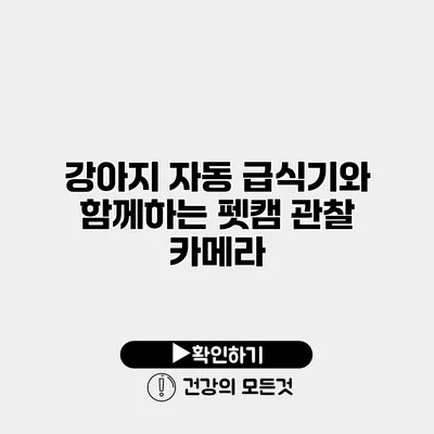 강아지 자동 급식기와 함께하는 펫캠 관찰 카메라