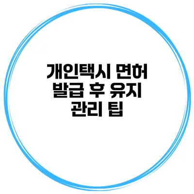 개인택시 면허 발급 후 유지 관리 팁