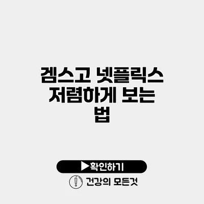 겜스고 넷플릭스 저렴하게 보는 법
