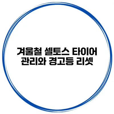 겨울철 셀토스 타이어 관리와 경고등 리셋