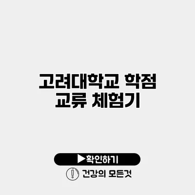 고려대학교 학점 교류 체험기